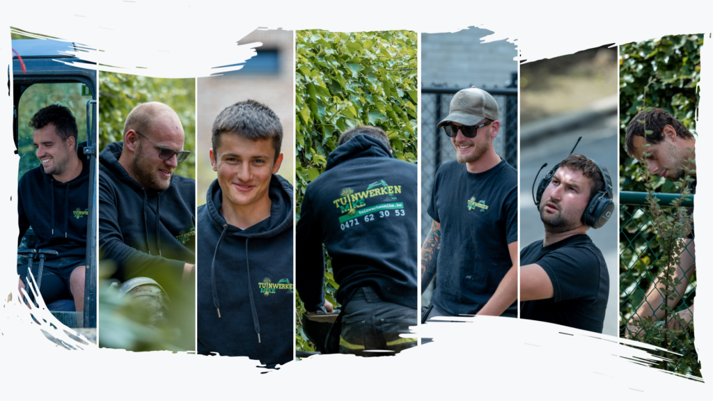 Het team van Tuinwerken Mike aan het werk